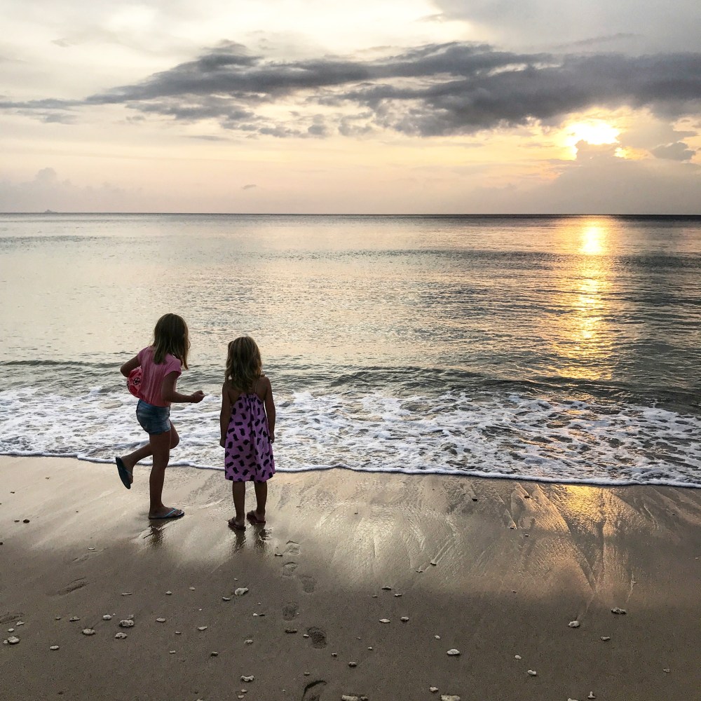 0284E3DE-F624-4A96-A0DA-3C542A21A3C9