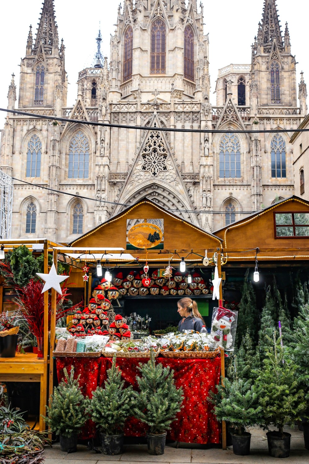 FE6E9102-9FC5-437C-969A-A5587D49EA48