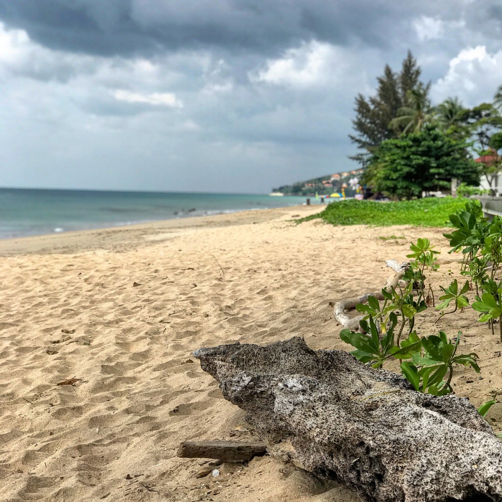 7CAA0BAC-3CFF-4224-99CC-BF4BE9F8D68D