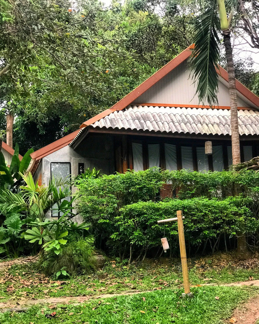 CF6ADAE8-09FA-45CE-83C4-8D0B7B162B2D